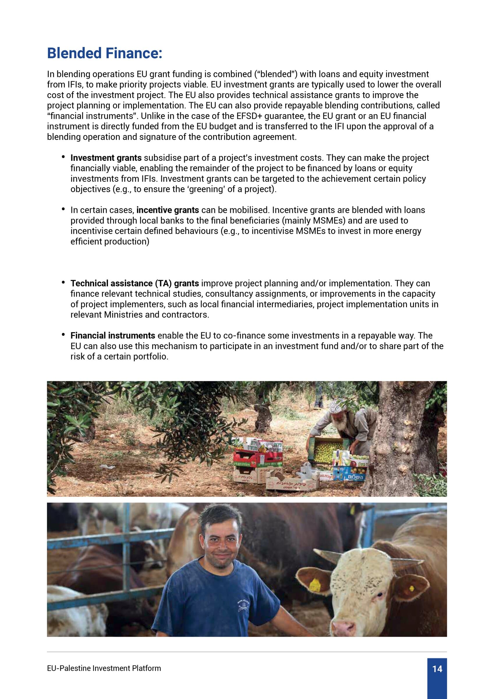 Fourth EU Palestine Investment Review spread — right page